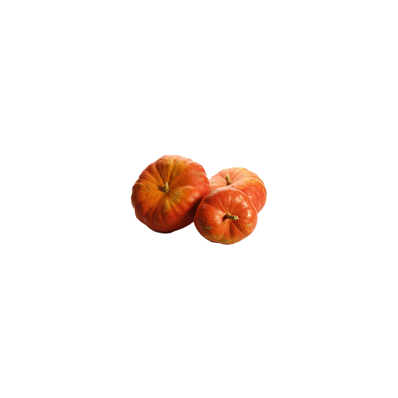 Huile de pépins de Courge en capsules (Cucurbita pepo)