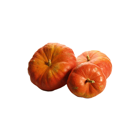 Huile de pépins de Courge en capsules (Cucurbita pepo)