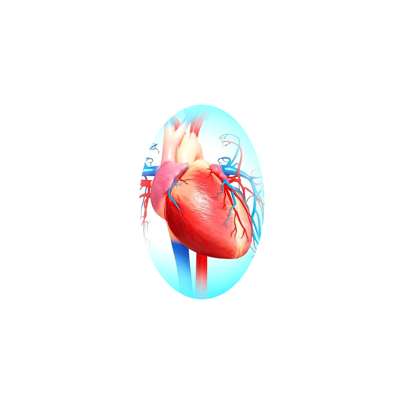 Cardiocool mélange en poudre Régénération