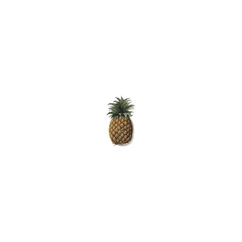 Ananas tige en gélules Pullulan, minceur et régime