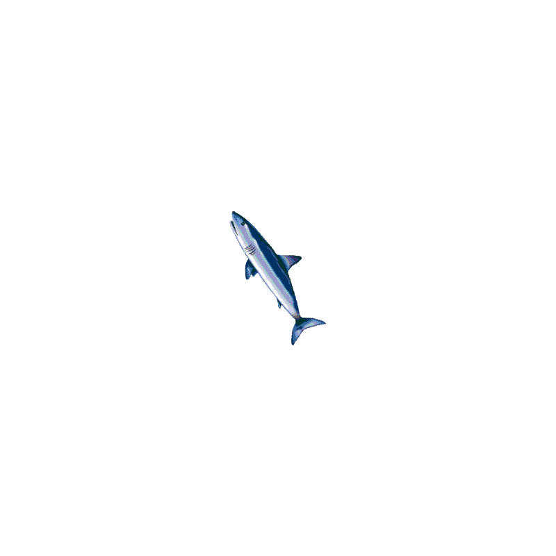 Cartilage de Requin Chondroïtine en gélules