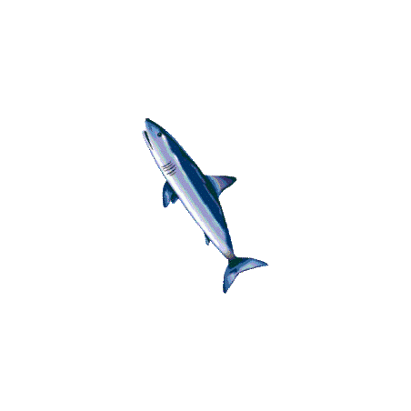 Cartilage de Requin Chondroïtine en gélules