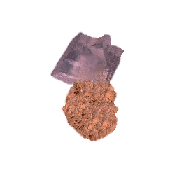 Dolomite en gélules, calcium et magnésium