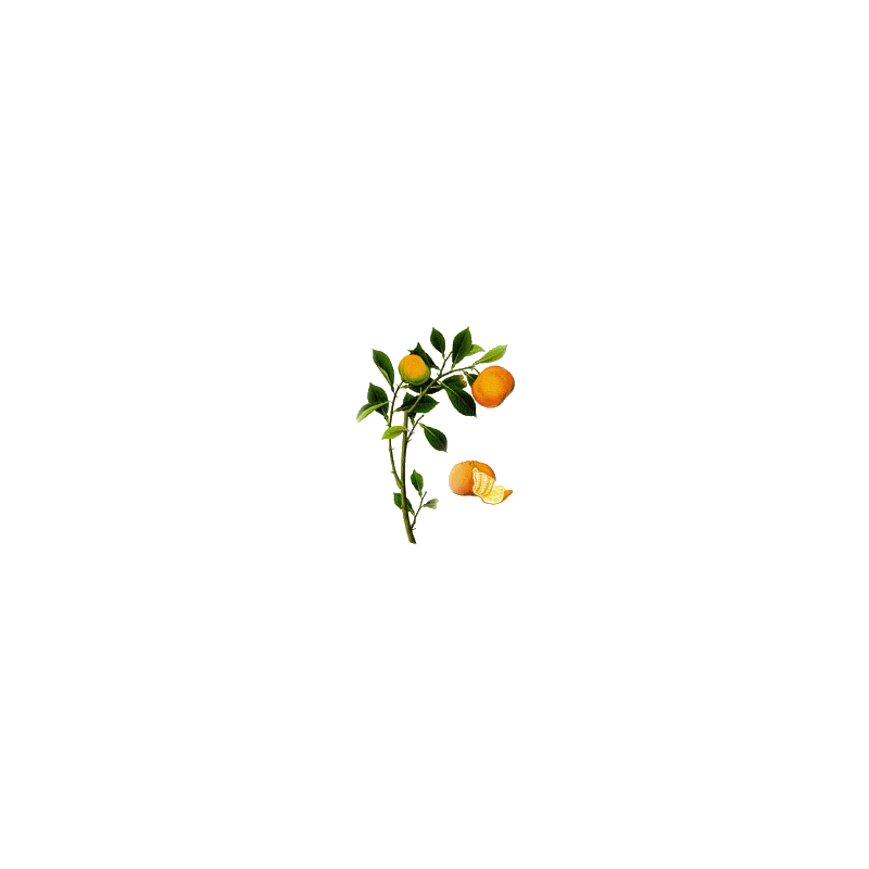 Huile essentielle de Clémentine bio (Citrus clemantina)