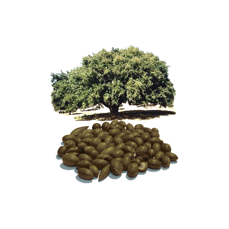 Huile végétale Argan Maroc Vierge Bio - ABC de la Nature : cosmétique bio