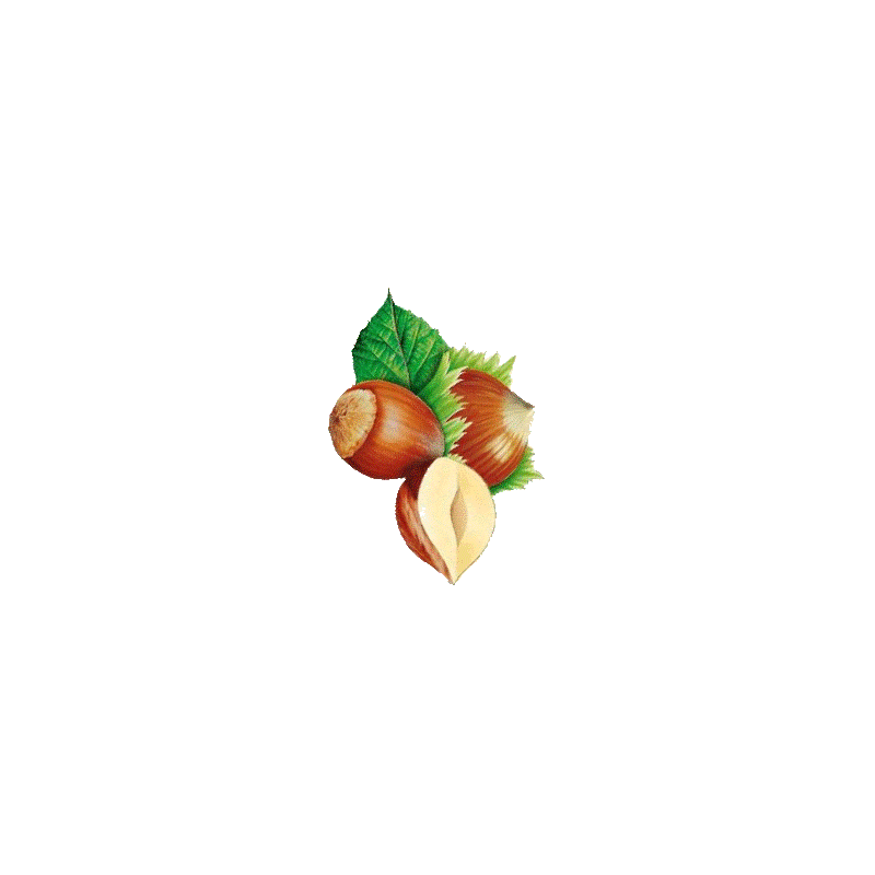 Huile végétale Vierge de Noisette Bio*