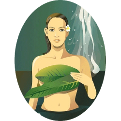 Câlins HQ mélange d'huiles essentielles bio aphrodisiaques