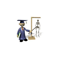 Silicium organique solution buvable (Articulations & Os)
