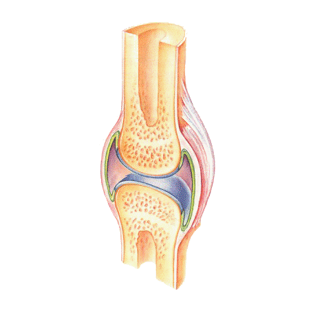 Articulations & muscles HQ mélange en massage huiles essentielles bio