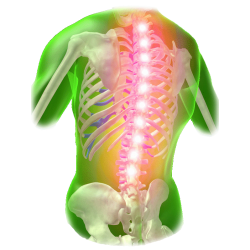 Rhumatismal HQ mélange en massage huiles essentielles bio