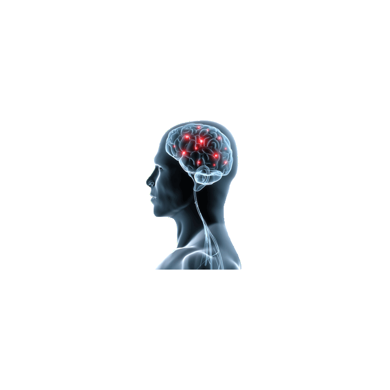 Memo+ mélange en gélules pour booster la mémoire