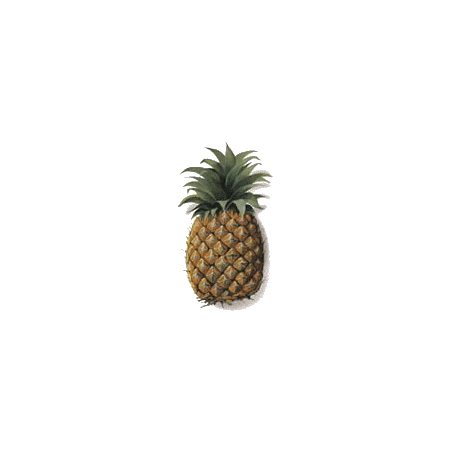 Bromélaine en gélules anti-inflammatoire naturel (Ananas comosus)