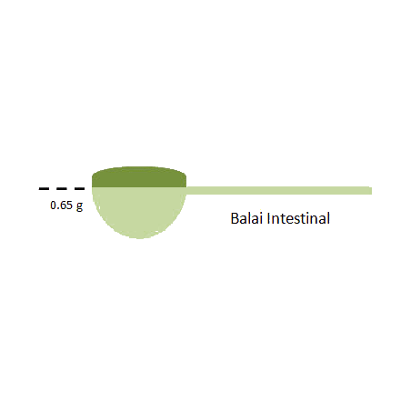 Balai Intestinal mélange en poudre Régénération
