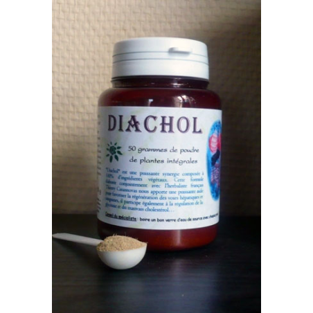 Diachol mélange en poudre Régénération