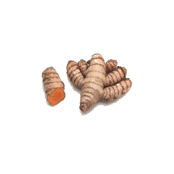 Curcuma longa racine BIO en gélules (anti-inflammatoire naturel)