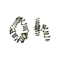 Spiruline BIO en comprimés  (Spirulina maxima*)