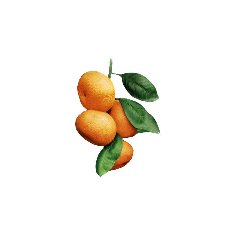 Huile essentielle Mandarine Jaune (Citrus reticulata Blanco)