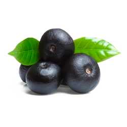 Açaie Bio en gélules (Euterpe oleracea)