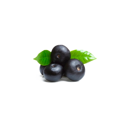 Açaie Bio en gélules (Euterpe oleracea)