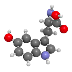 L-Tryptophane en gélules, précurseur naturel du sommeil