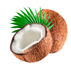 Huile végétale vierge de Coco Bio*