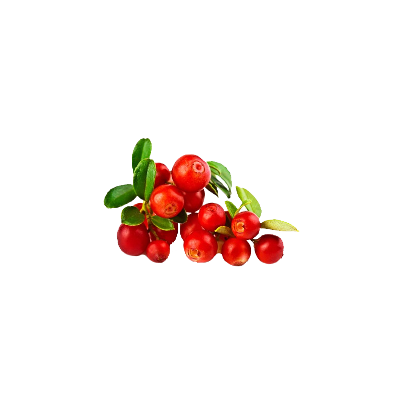 Cranberry Canneberge extrait  BIO en gélules