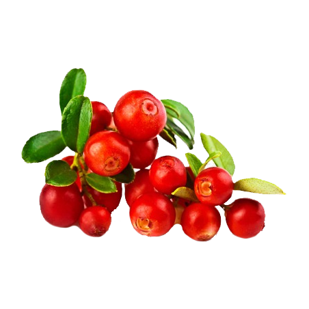 Cranberry Canneberge extrait  BIO en gélules