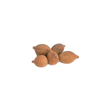 Triphala Bio en gélules, médecine ayurvédique
