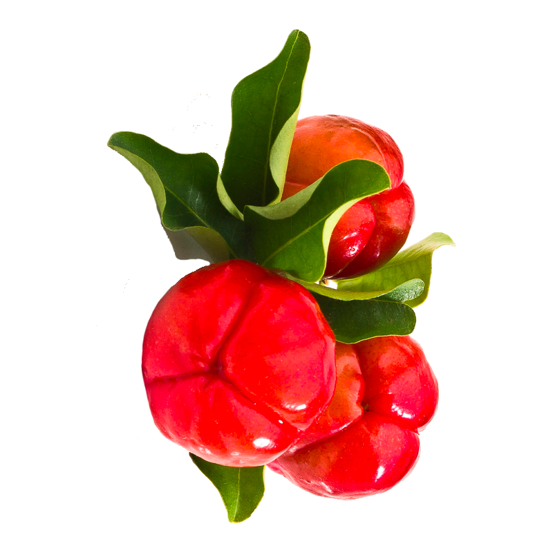 Acérola extrait de fruits BIO en gélules (Immunité)