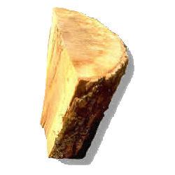 Huile essentielle Bois de Hô sauvage (Cinnamomum camphora CT linalol)