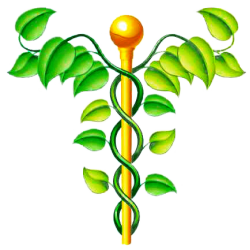 NAC N-Acétylcysteine en gélules Pullulan