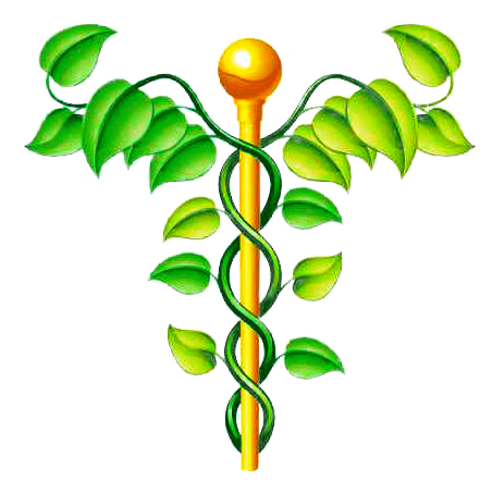 NAC N-Acétylcysteine en gélules Pullulan