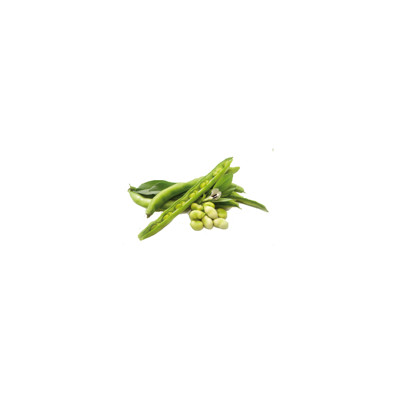 Guar gomme en poudre (Cure minceur et Cholestérol)