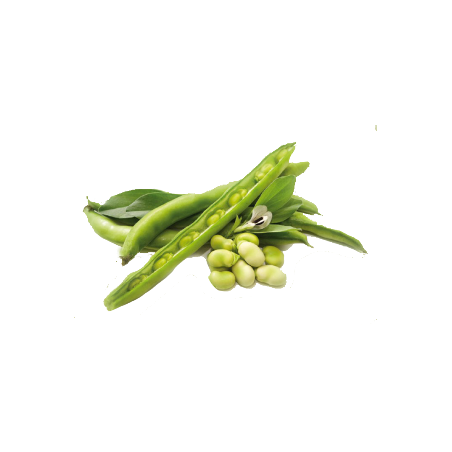 Guar gomme en poudre (Cure minceur et Cholestérol)