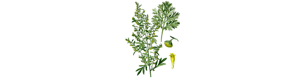 Plantes bio et traditionnelles en gélules - ABC de la Nature