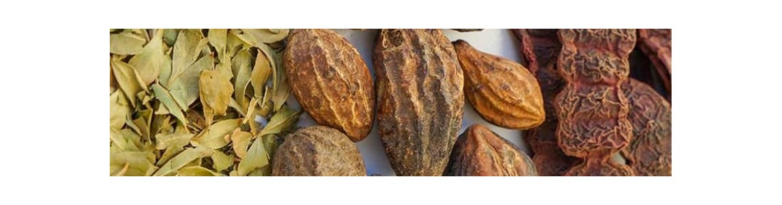 Plantes Ayurvédiques en gélules - ABC de la Nature